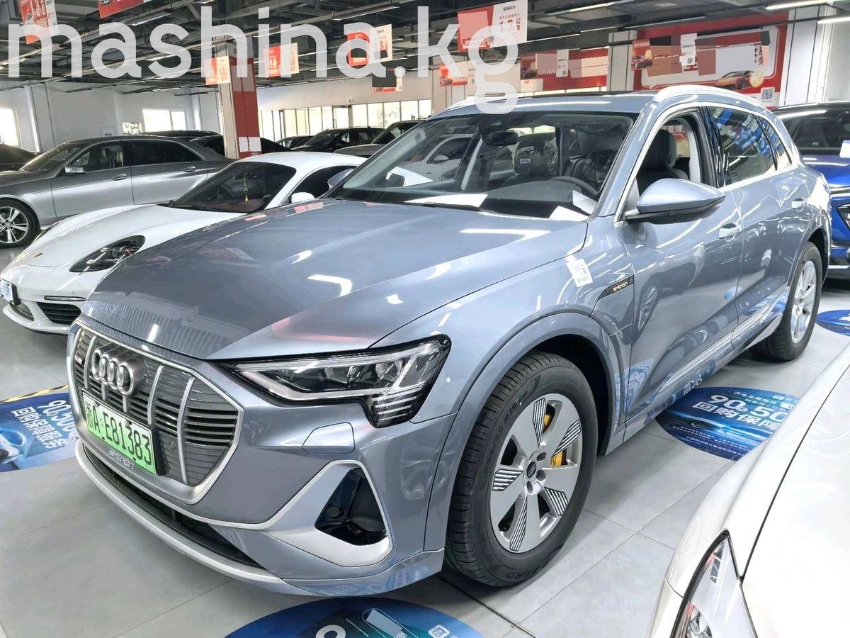 Audi e-tron I 50 Electro AT 4WD
