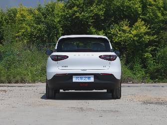 Geely Geome Star Wish 40 kWh Electro AT 4WD