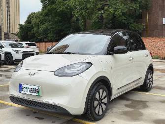 Wuling Binguo 37.9 kWh Electro AT