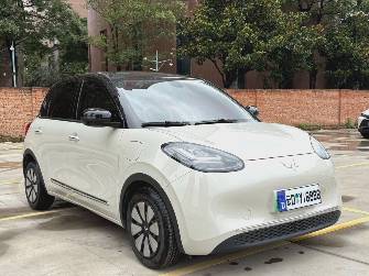 Wuling Binguo 37.9 kWh Electro AT