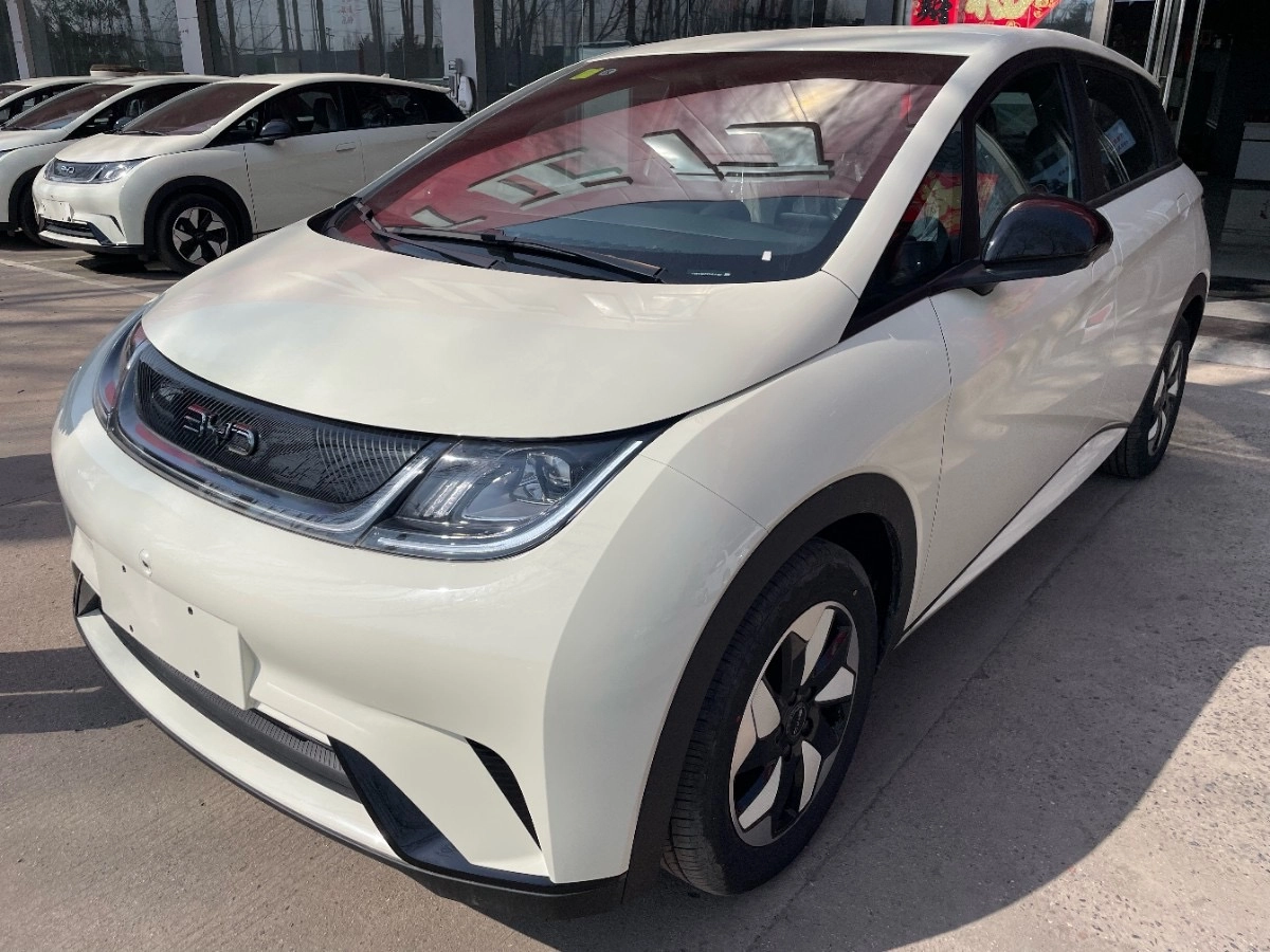 BYD Dolphin 44.9 kWh Electro AT