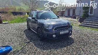 MINI Countryman II 2.0 AT 4WD