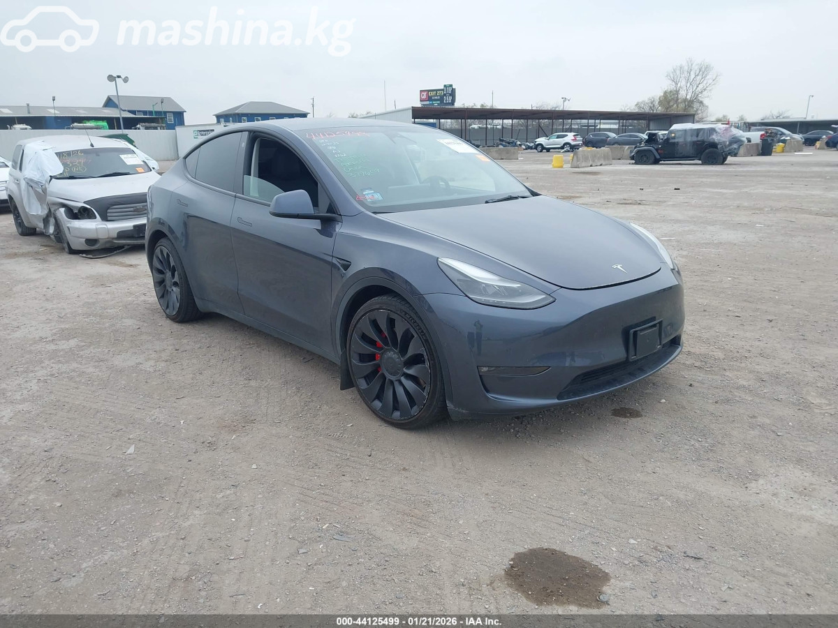 Tesla Model Y I Performance Electro AT 4WD
