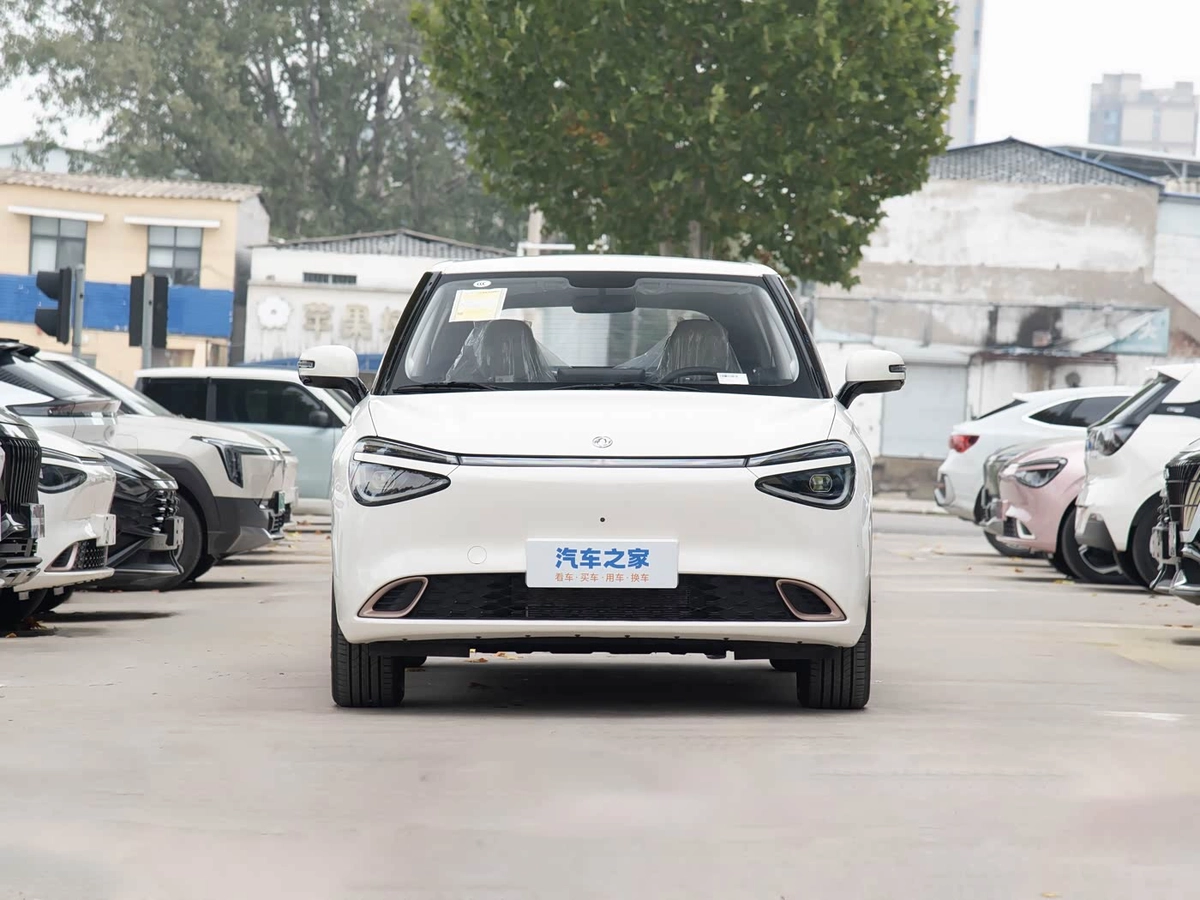Dongfeng Nammi 01 31.45 kWh Electro AT