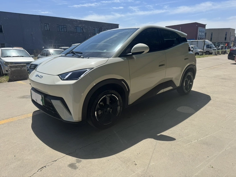 BYD Seagull 30.08 kWh Electro AT