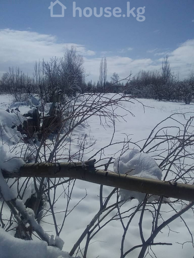 Участок, 40 соток