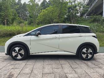 BYD Dolphin 44.9 kWh Electro AT