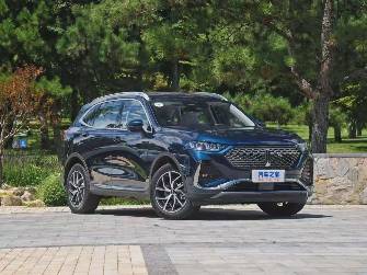 Wey Lanshan (Blue Mountain) Wey Lanshan (Blue Mountain) 1.5hyb AT 4WD