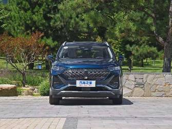 Wey Lanshan (Blue Mountain) Wey Lanshan (Blue Mountain) 1.5hyb AT 4WD