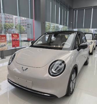Wuling Binguo 31.9 kWh Electro AT