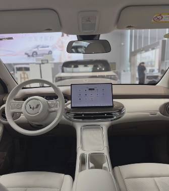 Wuling Binguo 31.9 kWh Electro AT