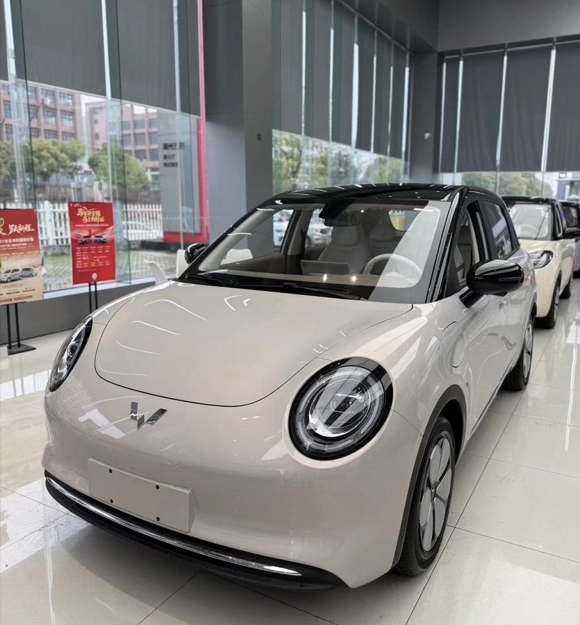 Wuling Binguo 31.9 kWh Electro AT