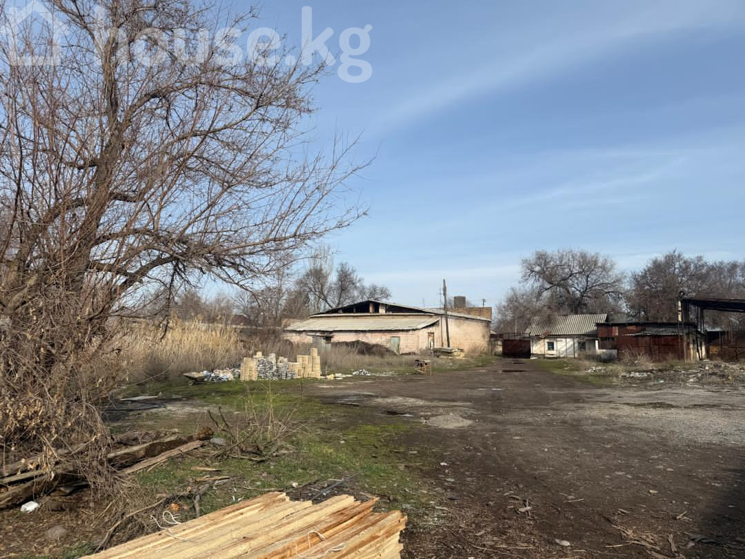 Участок, 51 сотка