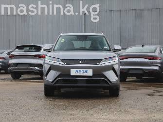 BYD Yuan Up 32 kWh Electro AT