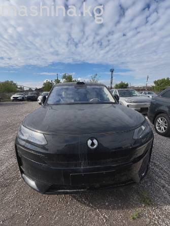 Denza N9 2.0hyb CVT 4WD