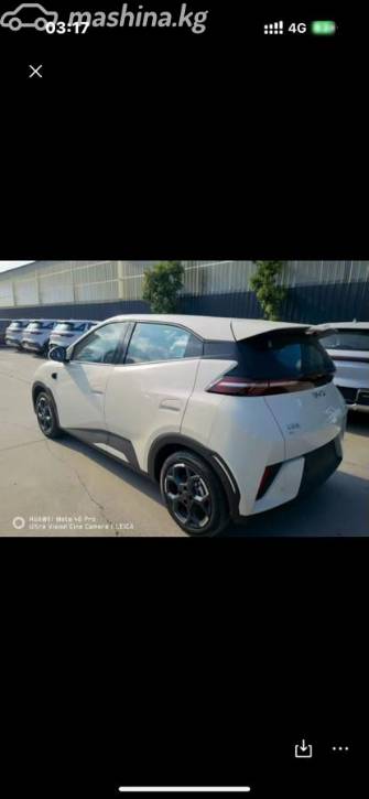 BYD Seagull 38.88 kWh Electro AT