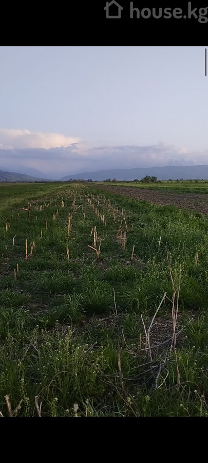 Участок, 150 соток