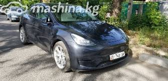 Tesla Model Y I Long Range Electro AT 4WD