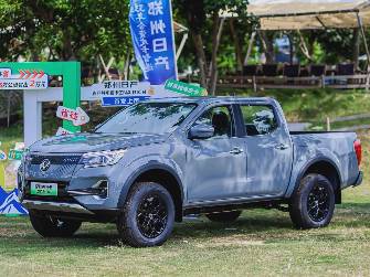 Dongfeng Rich II 2.5d MT 4WD