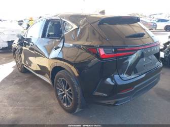 Lexus NX II 250 2.5 AT