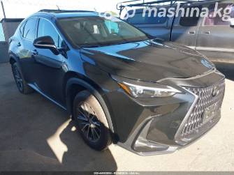 Lexus NX II 250 2.5 AT