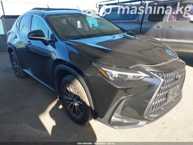 Открыть фото Lexus NX II 250 2.5 AT