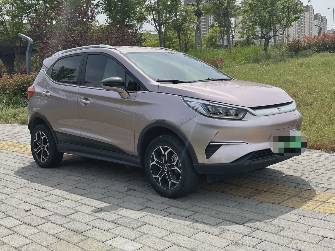 BYD Yuan Pro Electro AT