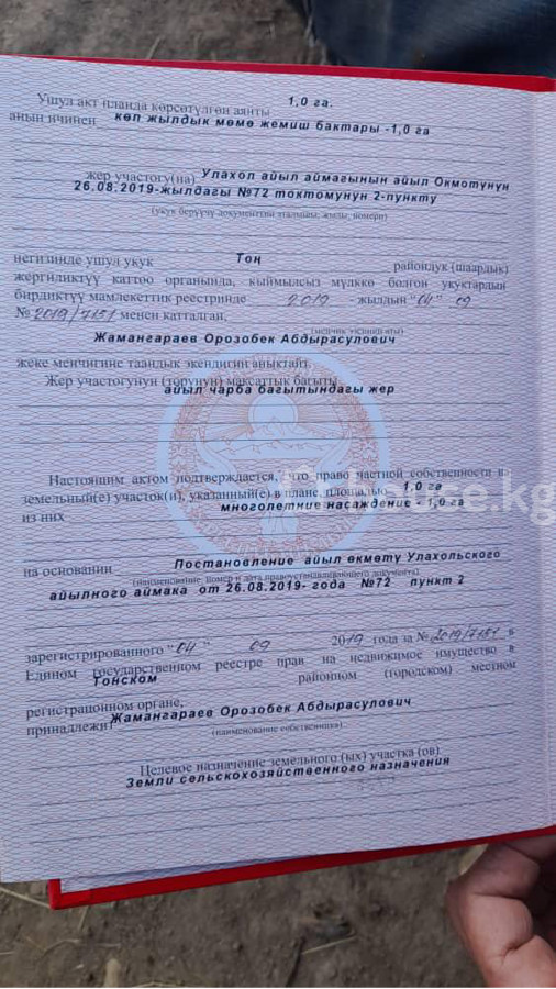 Участок, 100 соток