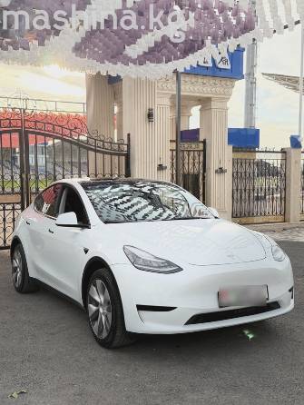 Tesla Model Y I Long Range Electro AT 4WD