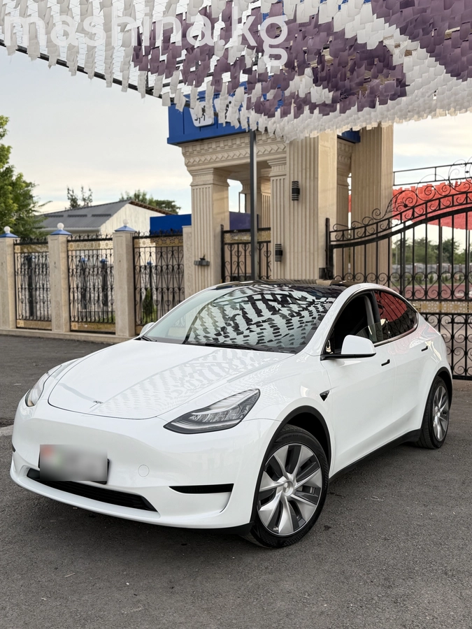 Tesla Model Y I Long Range Electro AT 4WD