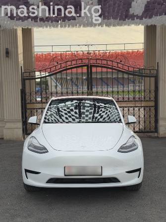 Tesla Model Y I Long Range Electro AT 4WD