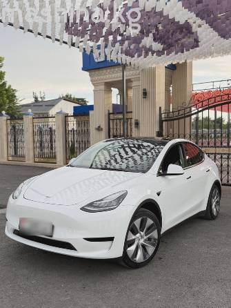 Tesla Model Y I Long Range Electro AT 4WD