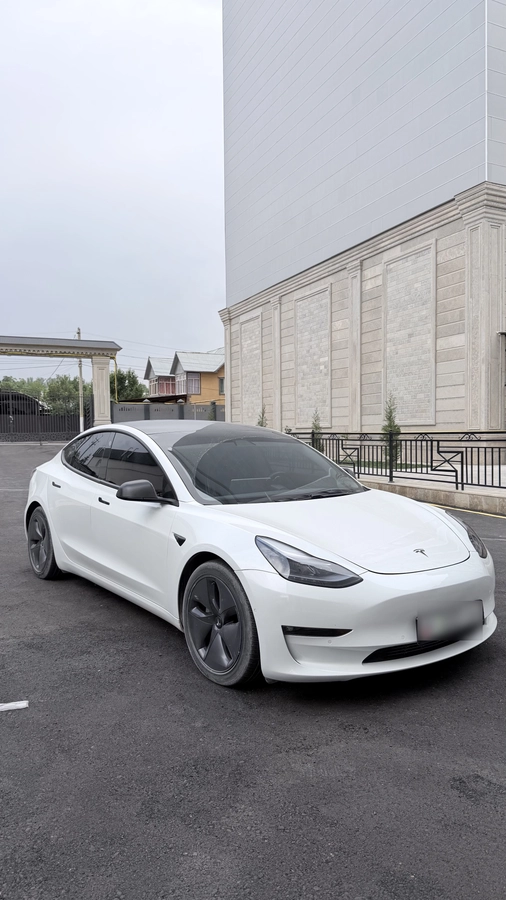Tesla Model 3 I Long Range Electro AT 4WD