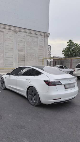 Tesla Model 3 I Long Range Electro AT 4WD