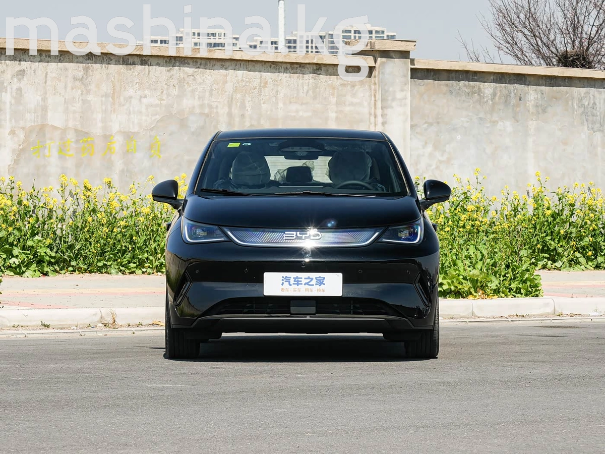 BYD Dolphin 30.7 kWh Electro AT