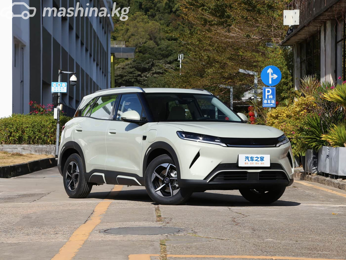 BYD Yuan Up 32 kWh Electro AT