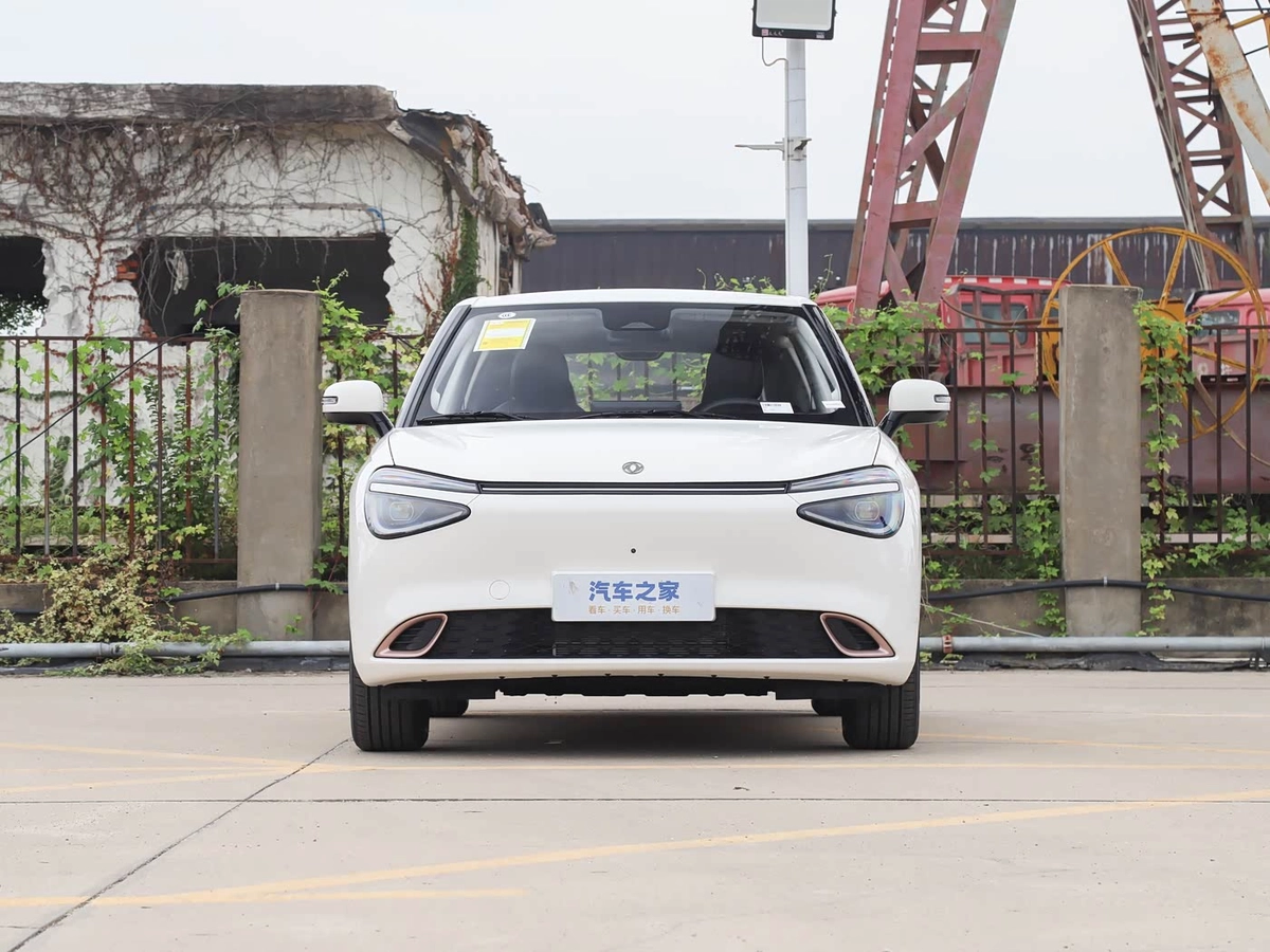 Dongfeng Nammi 01 42.3 kWh Electro AT