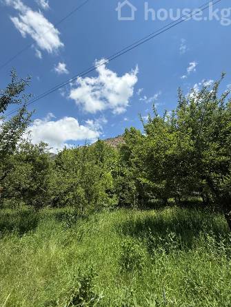 Участок, 50 соток