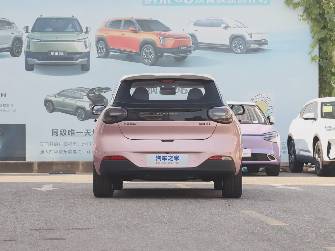 Dongfeng Nammi 01 42.3 kWh Electro AT