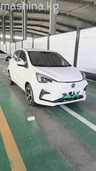 Changan Benben E-Star 31 kWh Electro AT
