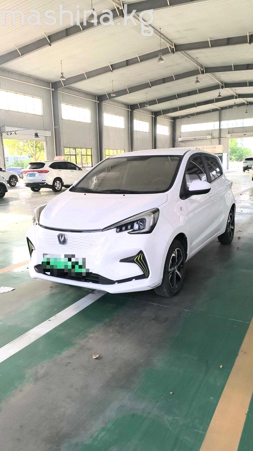Changan Benben E-Star 31 kWh Electro AT