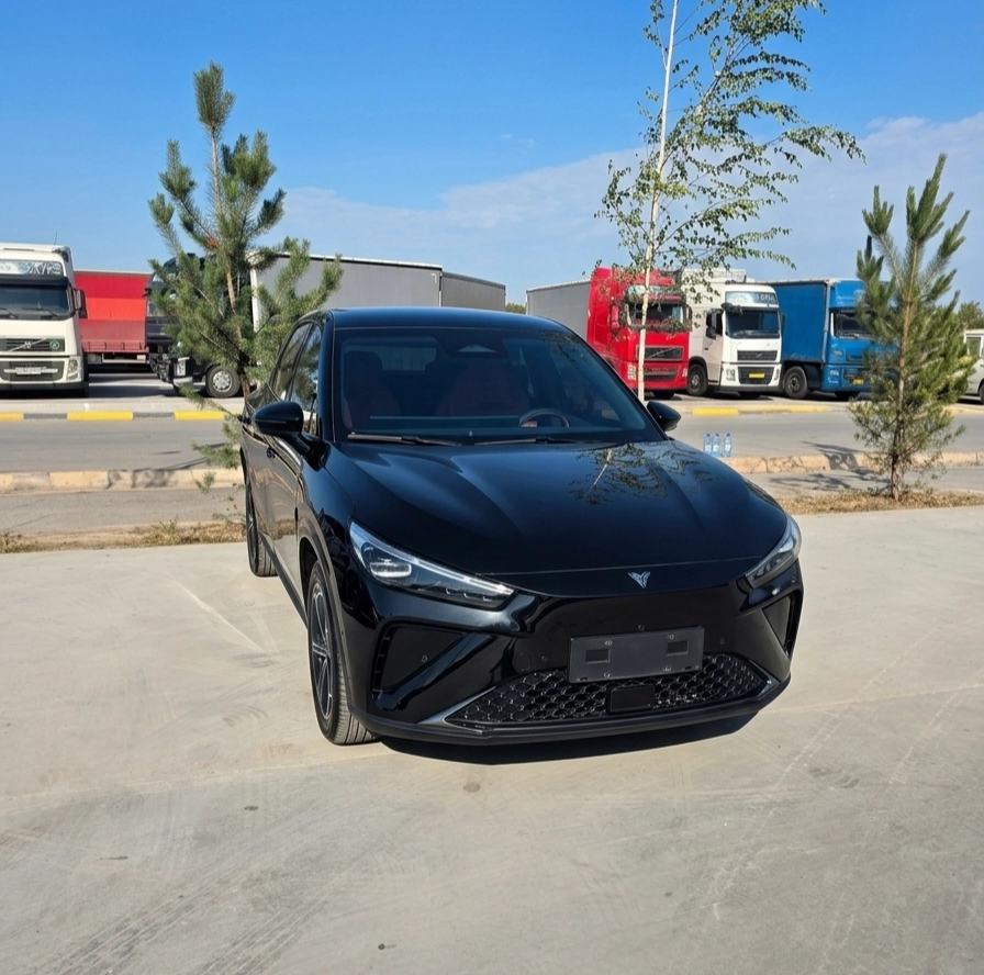 Hozon Neta L 40 kWh 1.5hyb AT