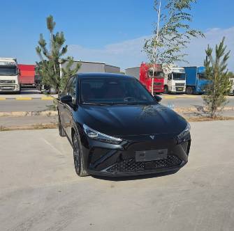 Hozon Neta L 40 kWh 1.5hyb AT