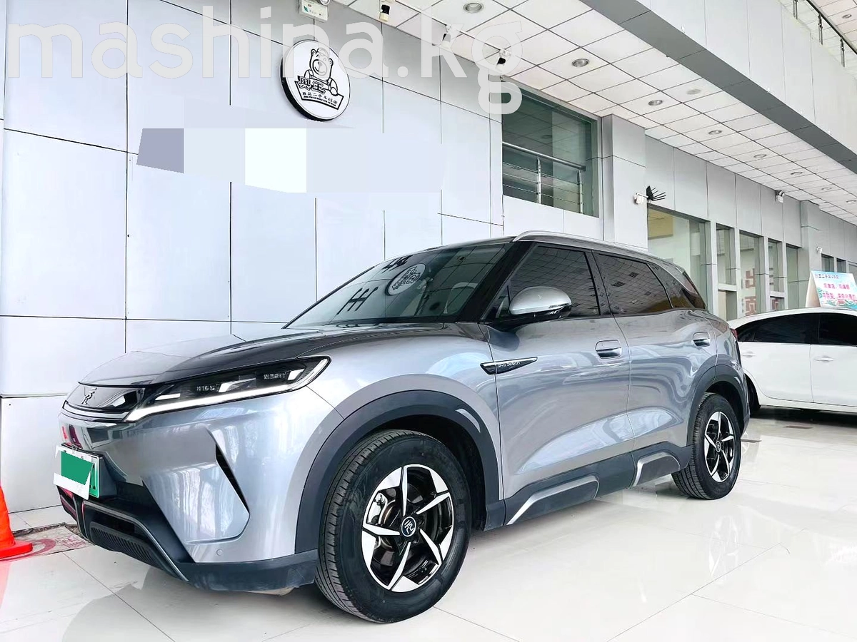 BYD Yuan Up 45.12 kWh Electro AT