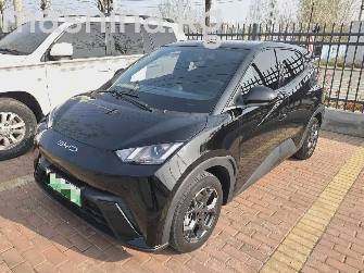 BYD Seagull 30.08 kWh Electro AT