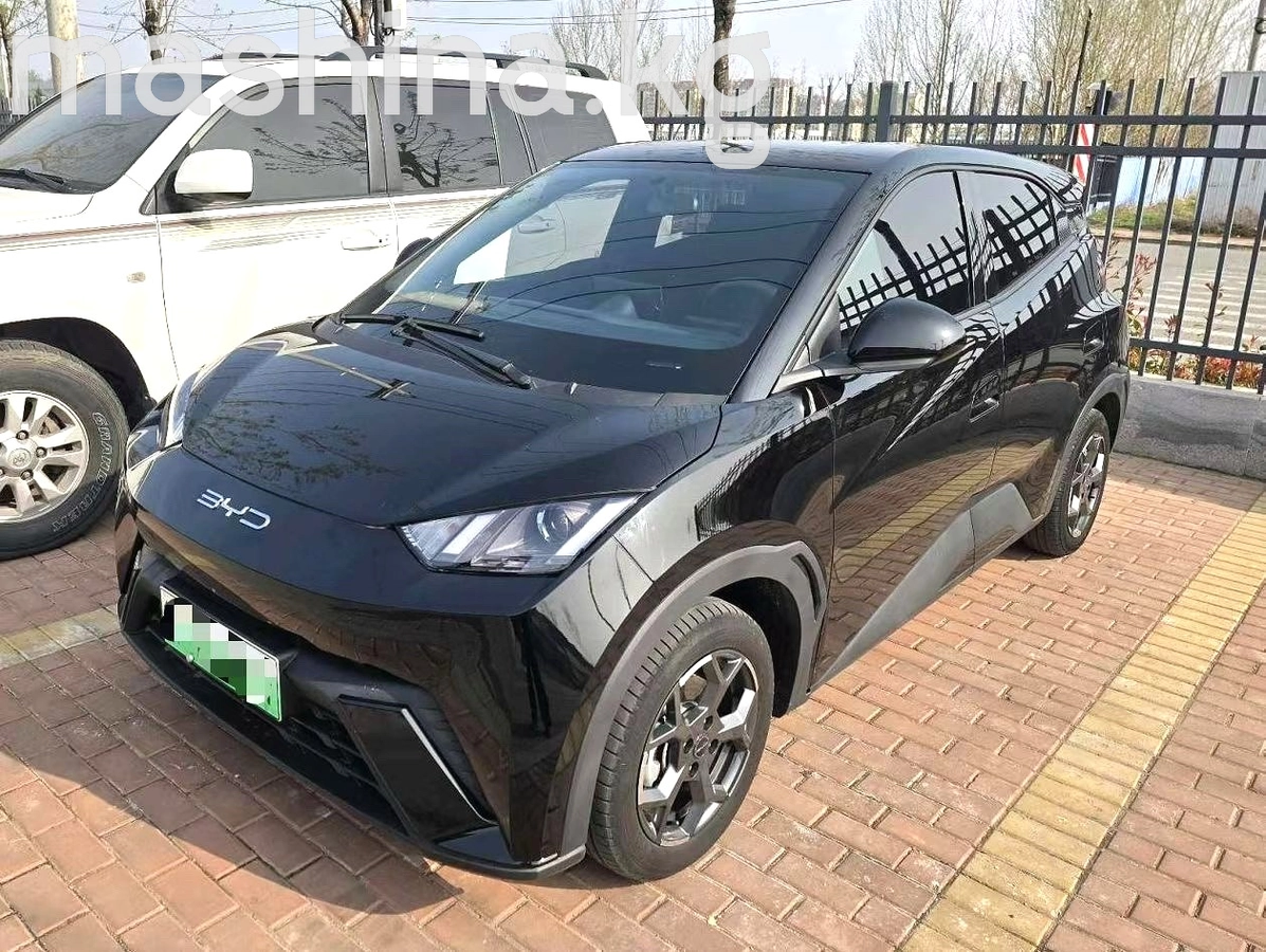 BYD Seagull 30.08 kWh Electro AT