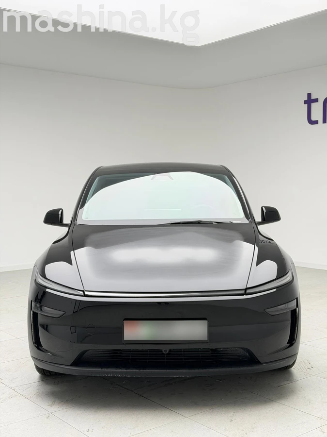 Tesla Model Y I Long Range Electro AT