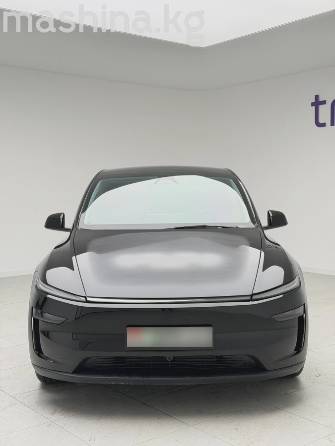 Tesla Model Y I Long Range Electro AT