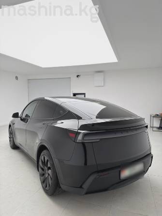 Tesla Model Y I Long Range Electro AT