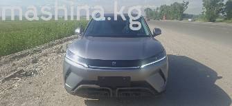 BYD Yuan Up
